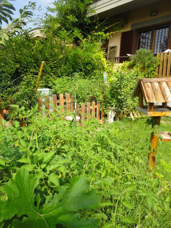 Girasolereale Bed And Breakfast Roma Exterior foto